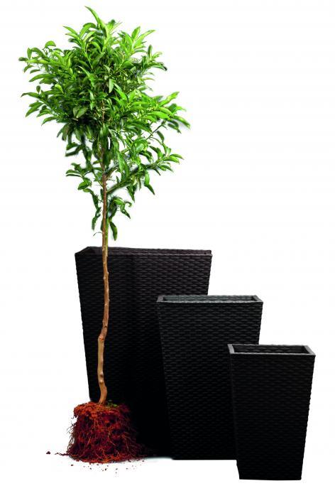 Rattan planter S - grafit