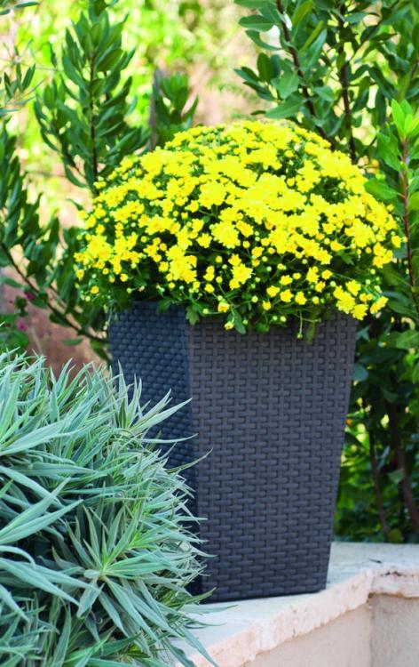 Rattan planter S - grafit