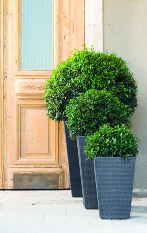 Rattan planter S - grafit