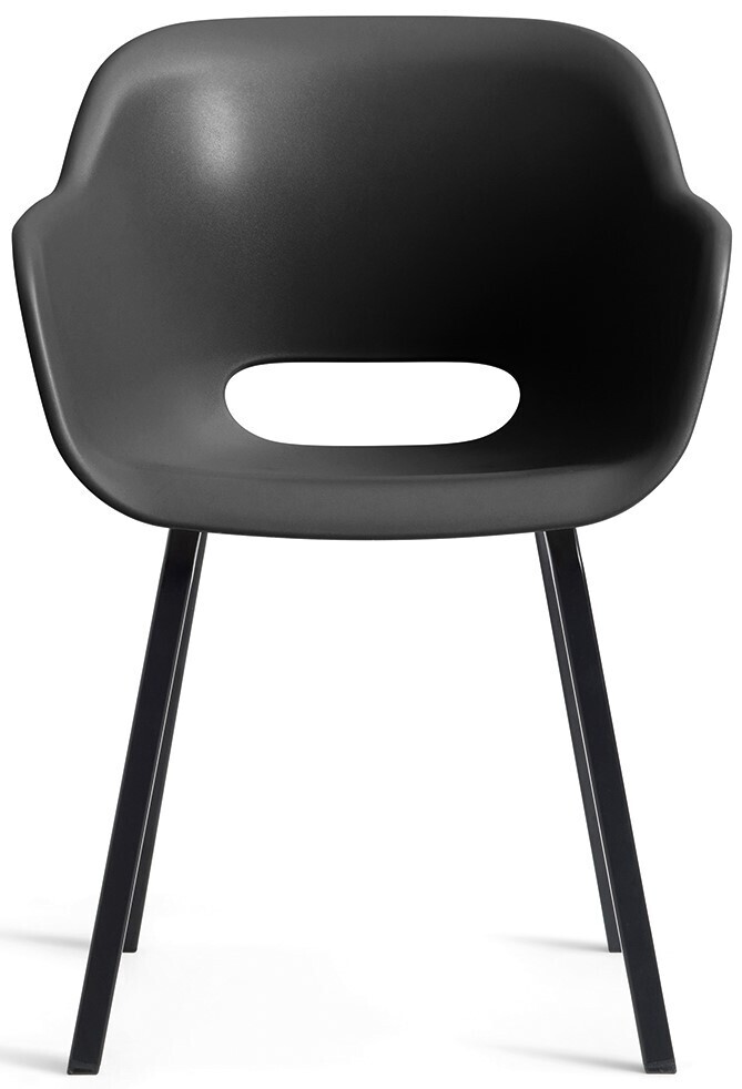 17213493 new 2025 noa cup chair 11627 rgb